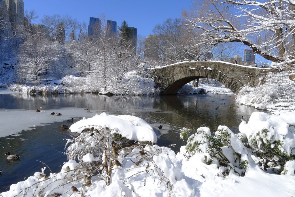 Central Park in winter