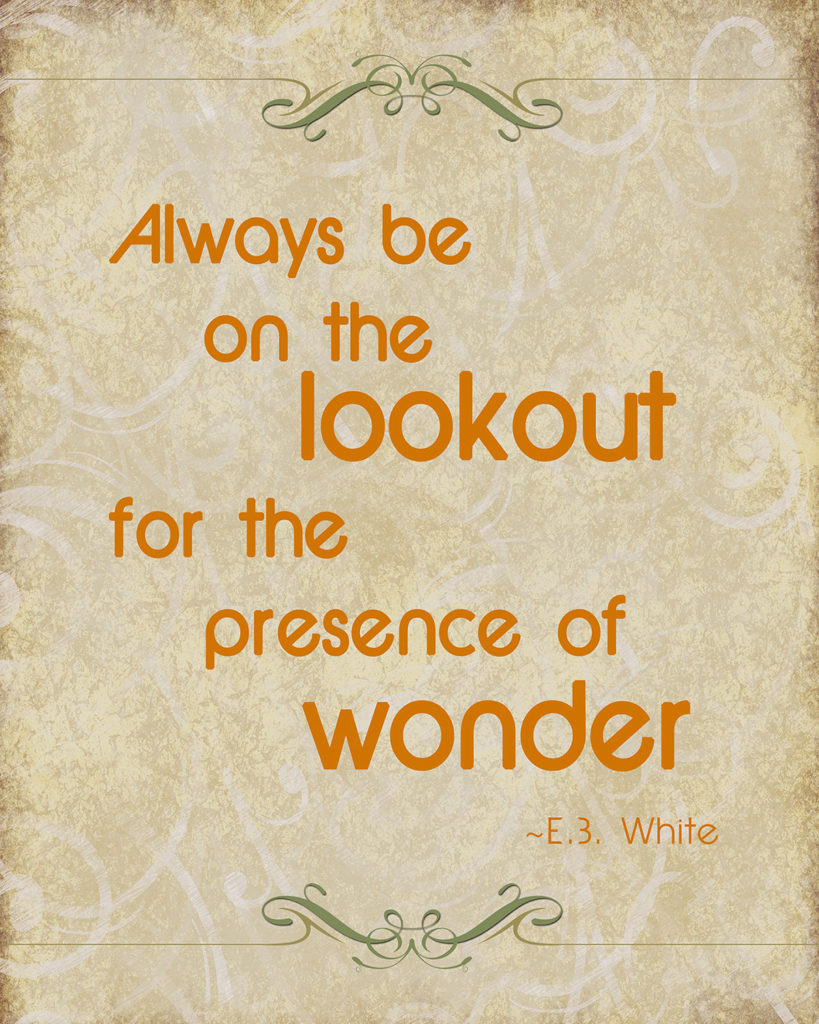 EB White Quote Download