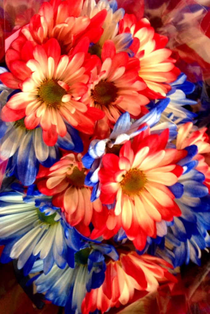 Patriotic flowers!