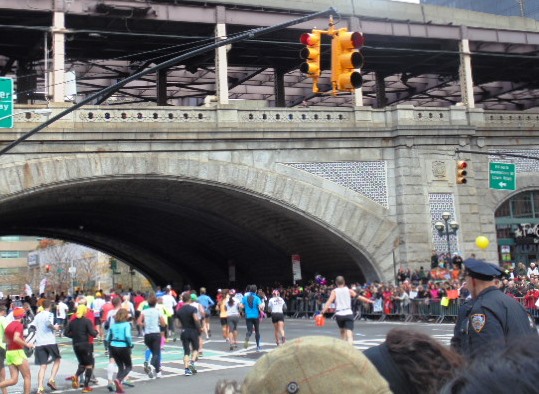The New York Marathon! www.mytributejournal.com