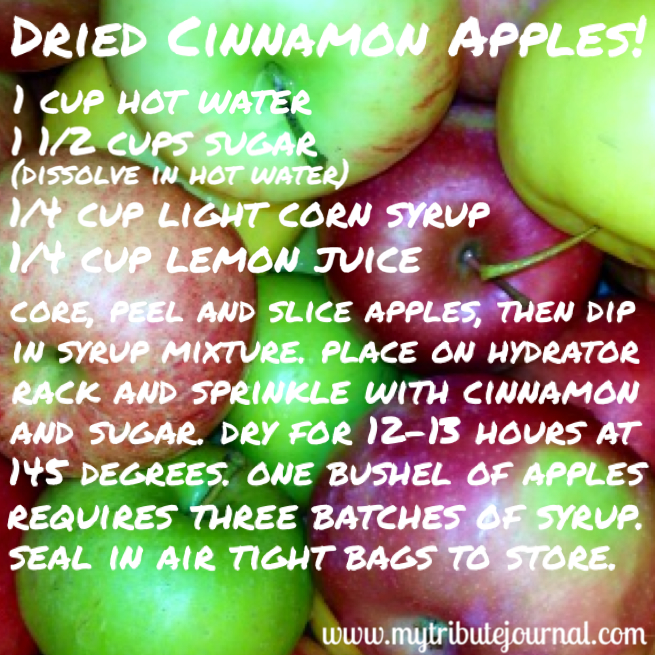 Dried Cinnamon Apples! www.mytributejournal.com