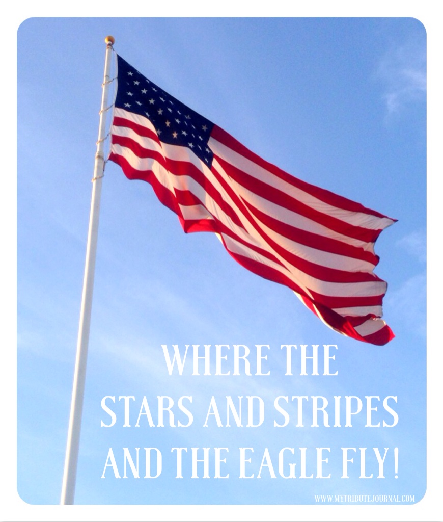 America's flag--Where the Stars And Stripes and the Eagle Fly! www.mytributejournal.com
