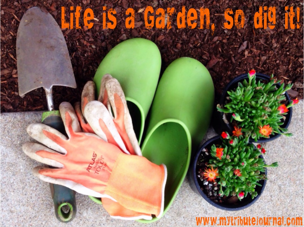 Life Is A Garden, So Dig It!  www.mytributejournal.com