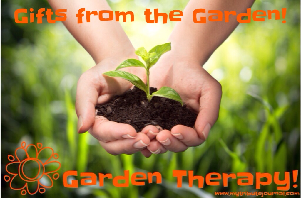 Garden Therapy! Gifts From The Garden! www.mytributejournal.com