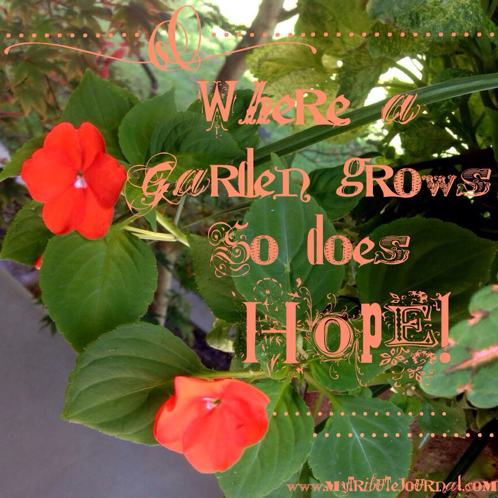 Garden quotes: "Where A Garden Grows So Does Hope!" www.mytributejournal.com 