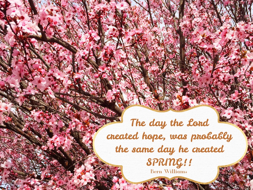 Spring quote www.mytributejournal.com