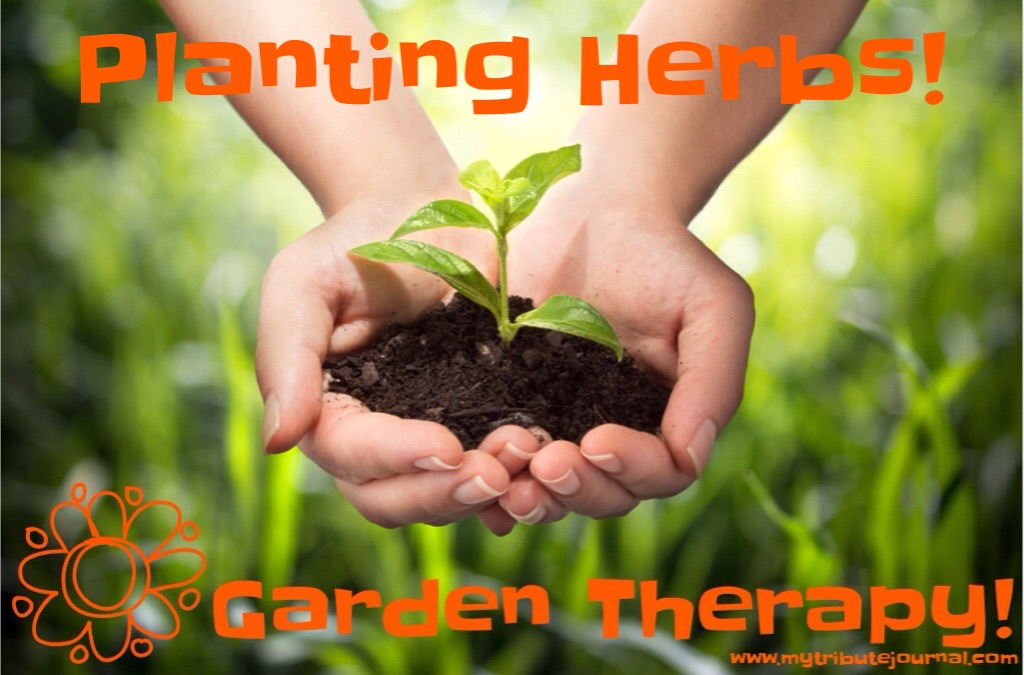 Garden Therapy! Planting Herbs! www.mytributejournal.com
