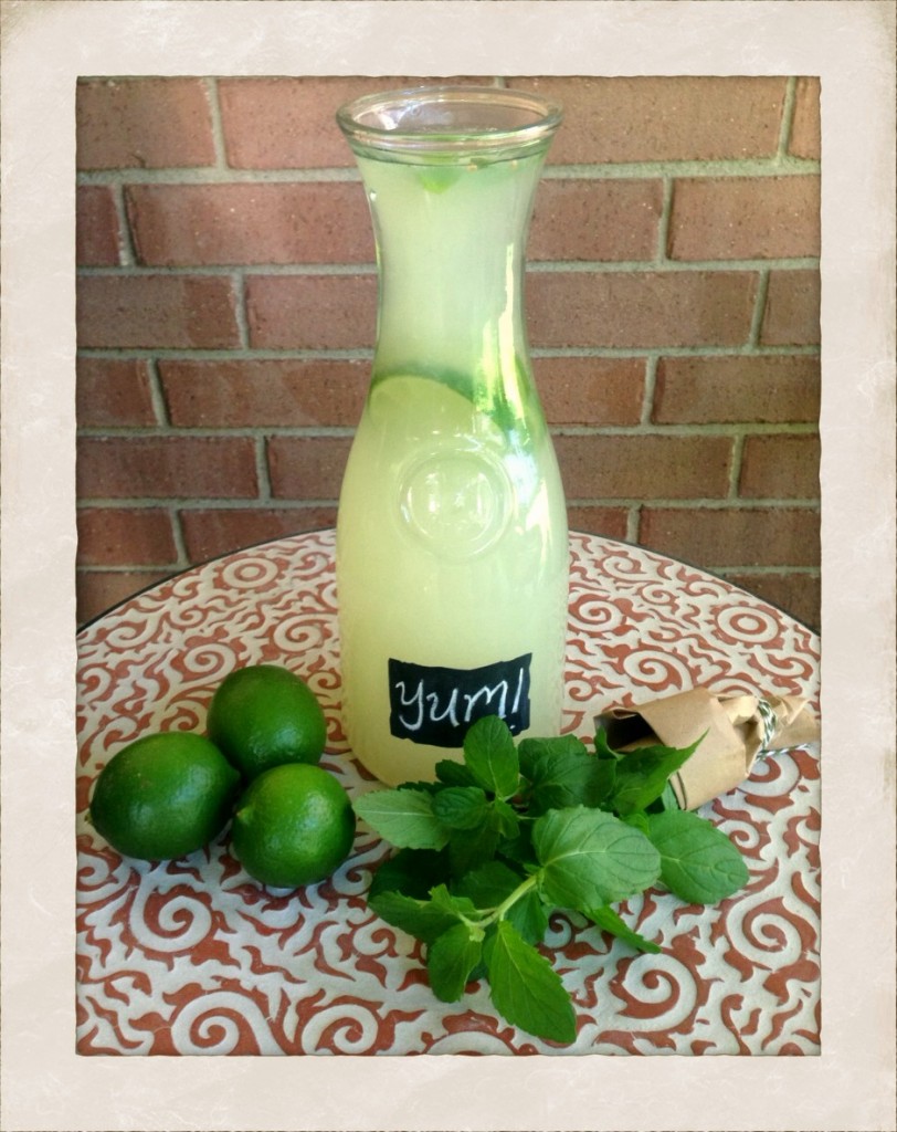 Mint Limeade Recipe! www.mytributejournal.com