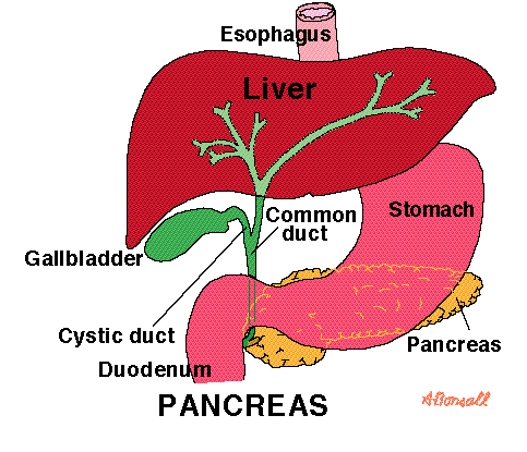 abpancre