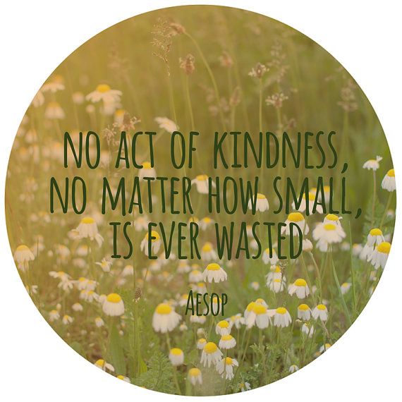 Kindness quote