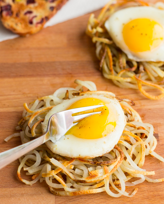 Egg nests.