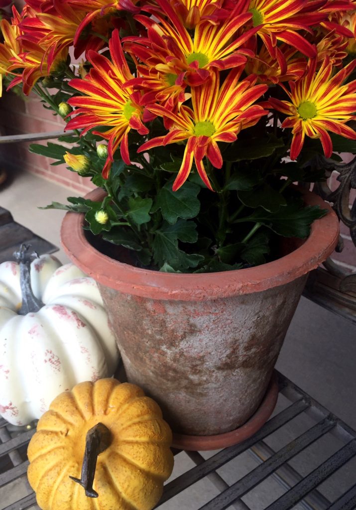 Aged terra cotta pots.