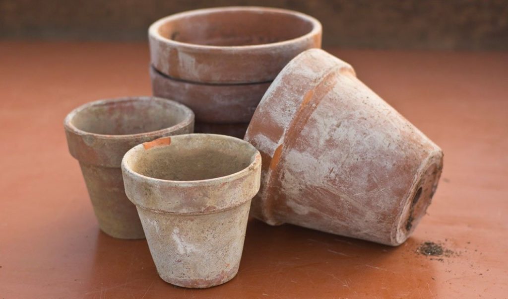 aged terre cotta pots.
