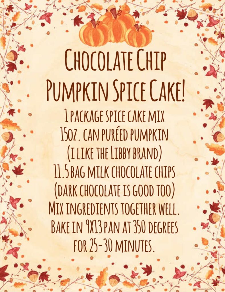 Chocolate Chip Pumpkin Spice Cake recipe!