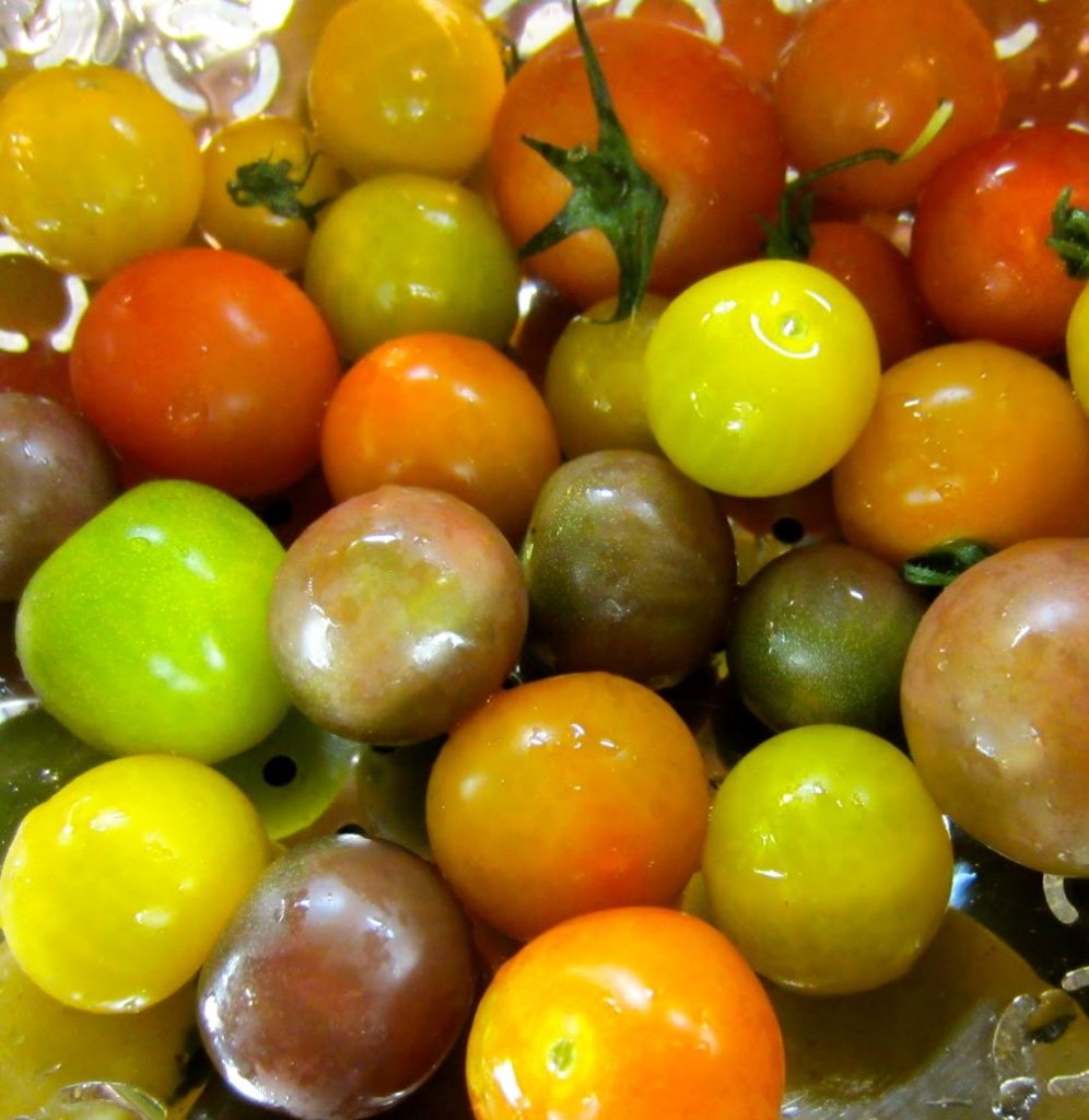 Garden pasta recipe.