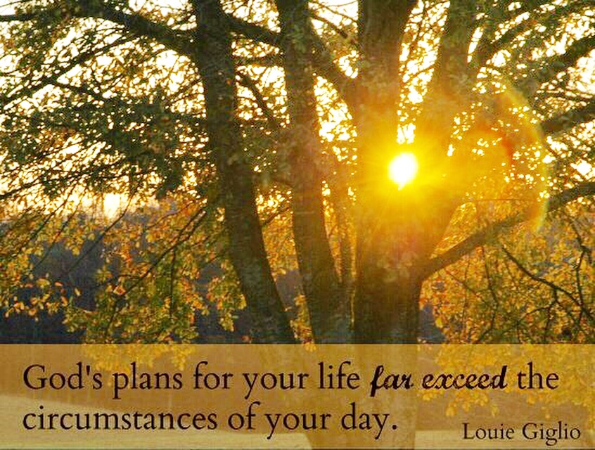 God's plan for you quote.