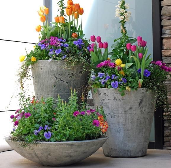Maintaining spring flower pots.