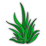 Grass clipart.